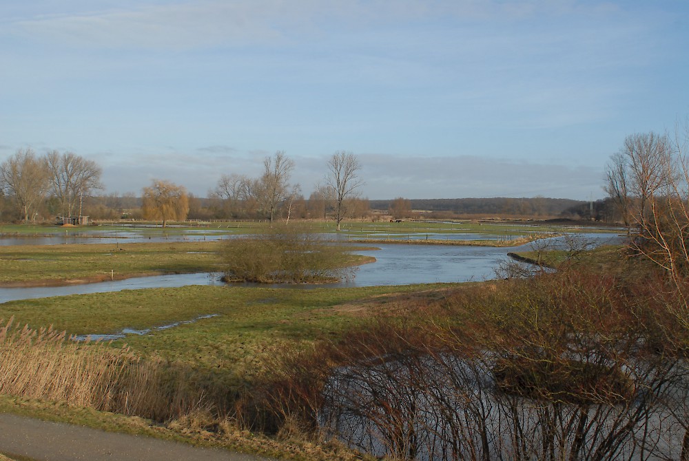 Schunterhochwasser im Jahr 2011.