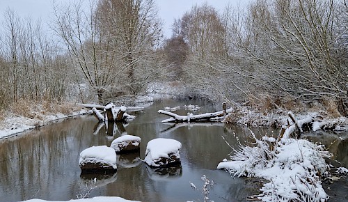 Winterstimmung an der Schunter      Foto: Renate Koch