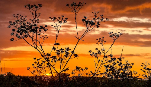 Glutrot erleuchten die Wolken zum Sonnenuntergang