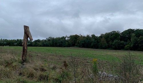 Die Brachfläche im Oktober