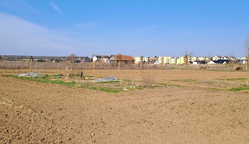Ende März - die Parzellen wurden eingerichtet