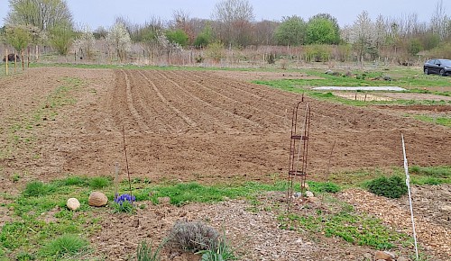 April - die Kartoffeln sind in der Erde