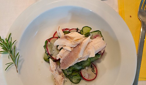 Gegrillte Forelle auf Gurken-Radieschen-Salat