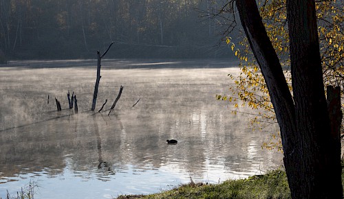 Frostige Morgenstimmung am Moorhüttenteich
Foto: Michael Theeß